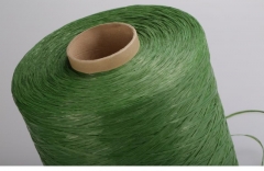 Artificial Grass Yarn